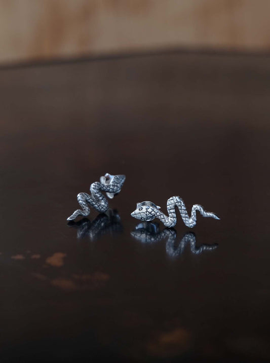 Patterned Snake Earrings in Silver