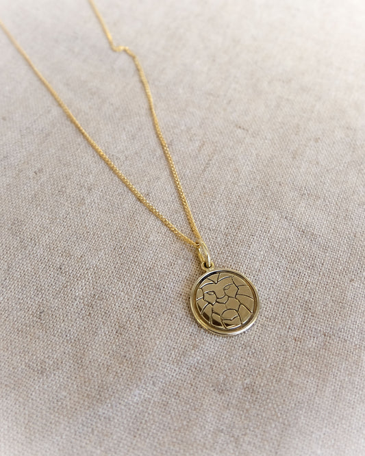 Lion Circle Charm in Brass