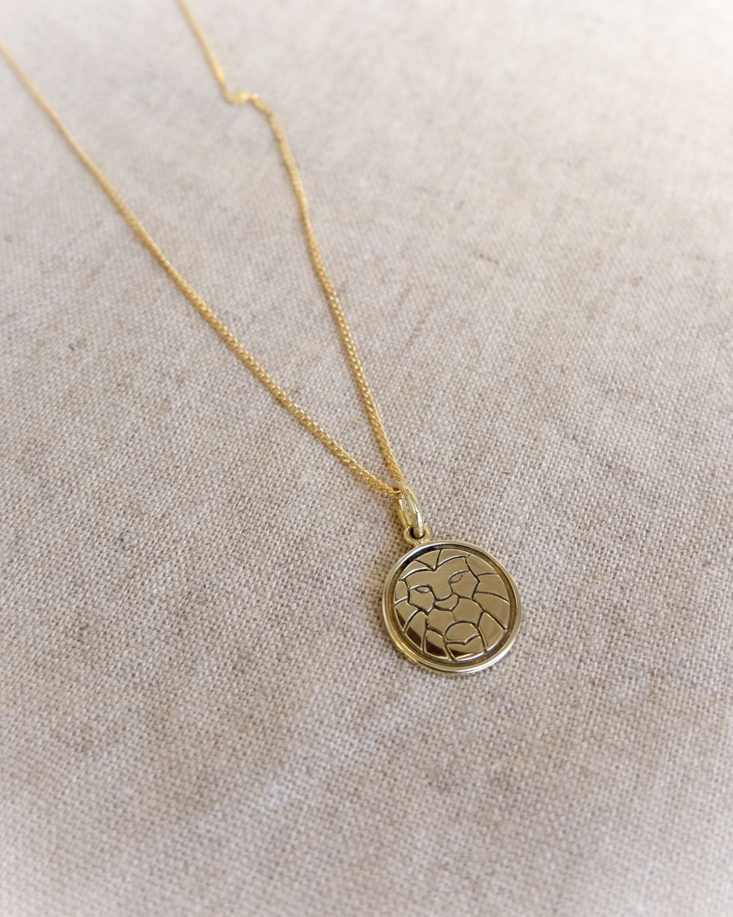 Lion Circle Charm in Brass Yin Jewelry for the Soul