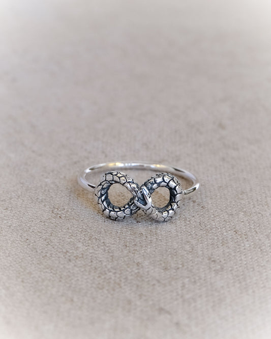 Ouroboros Infinity Ring in Silver