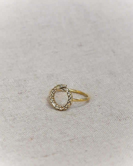 Ouroboros Ring in Brass
