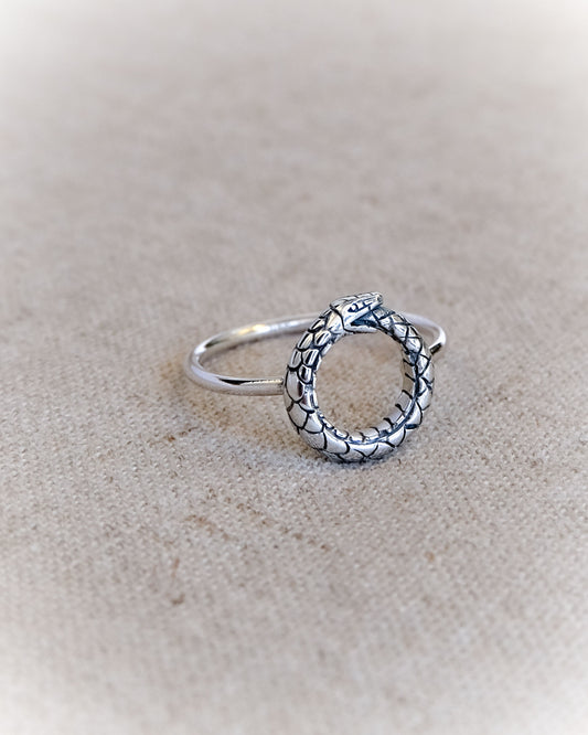 Ouroboros Ring in Silver