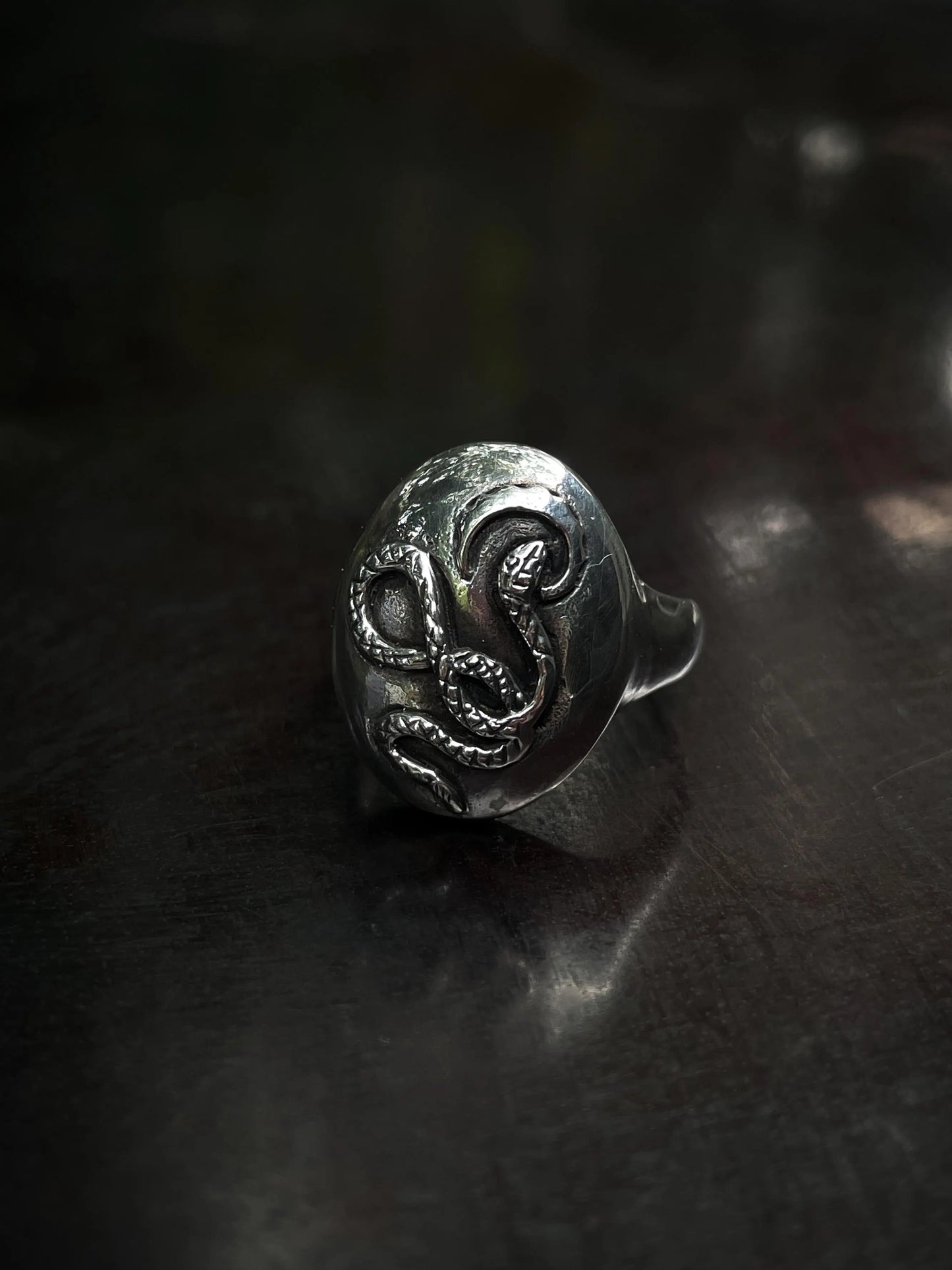 Snake Medallion Ring in Silver Yin Jewelry for the Soul