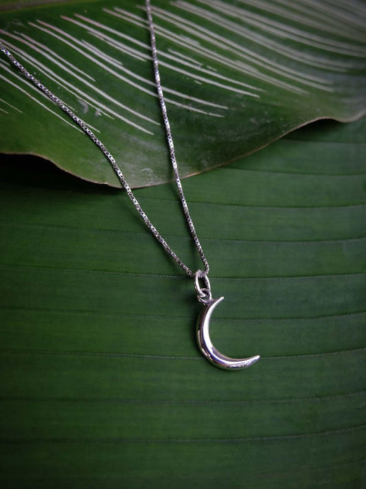 Crescent Moon Pendant in Silver