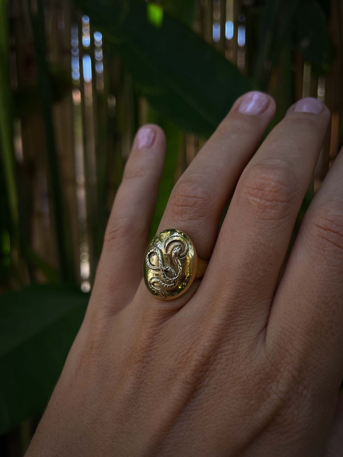 Snake Medallion Ring in Brass