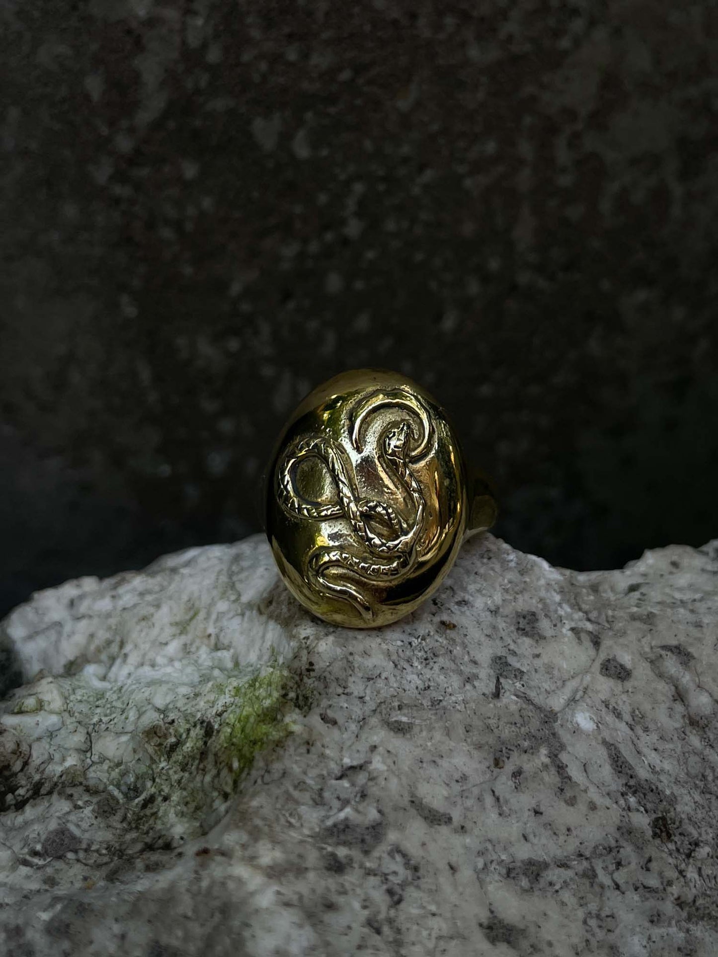 Snake Medallion Ring in Brass