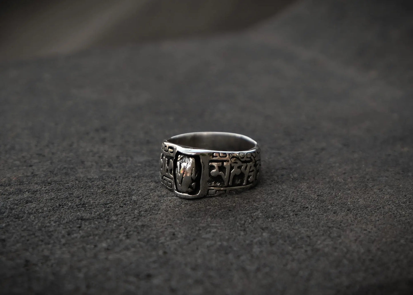 Intention Fidget Silver Ring Mule Jewels