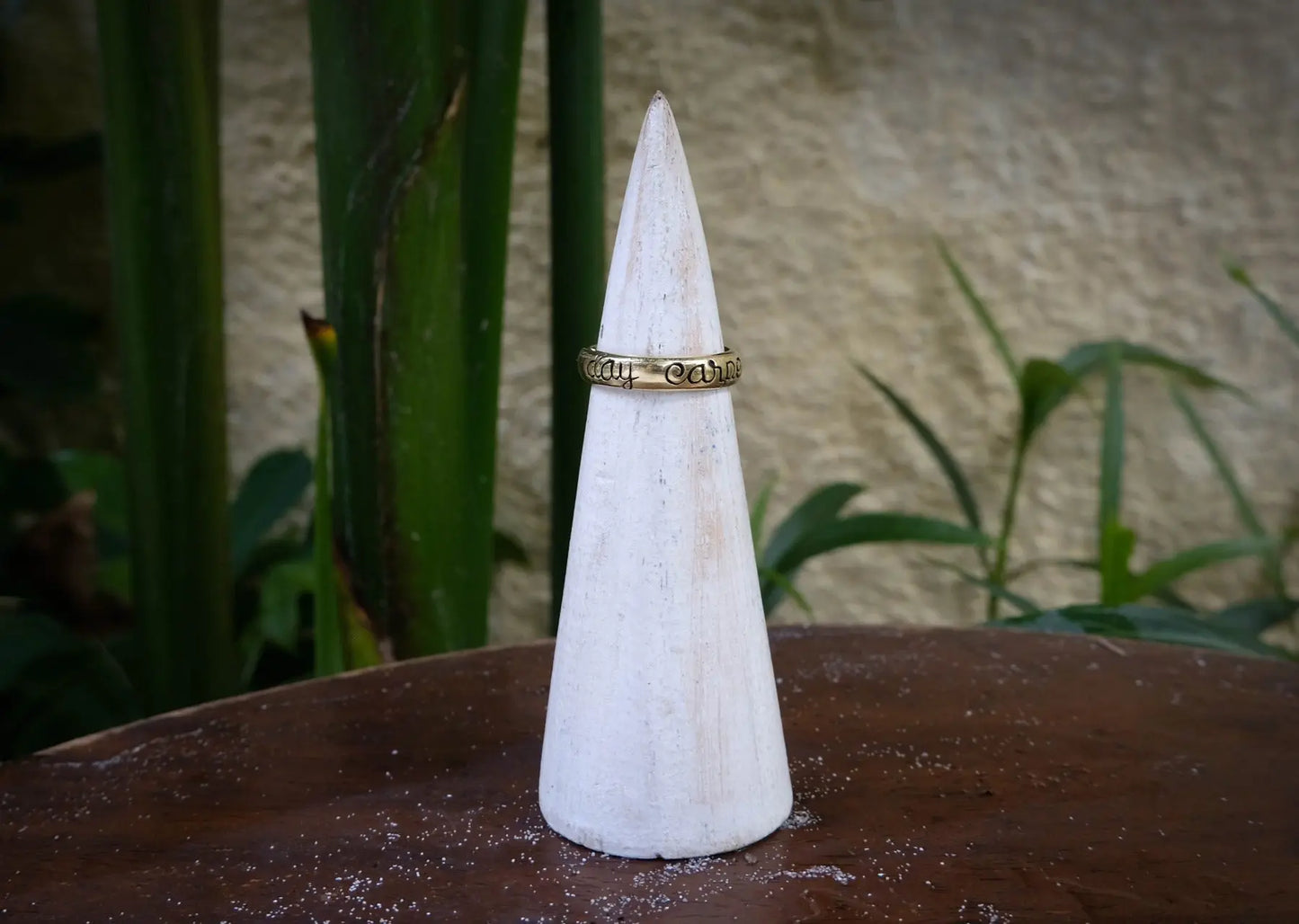 Carpe Diem Small Brass Ring Mule Jewels