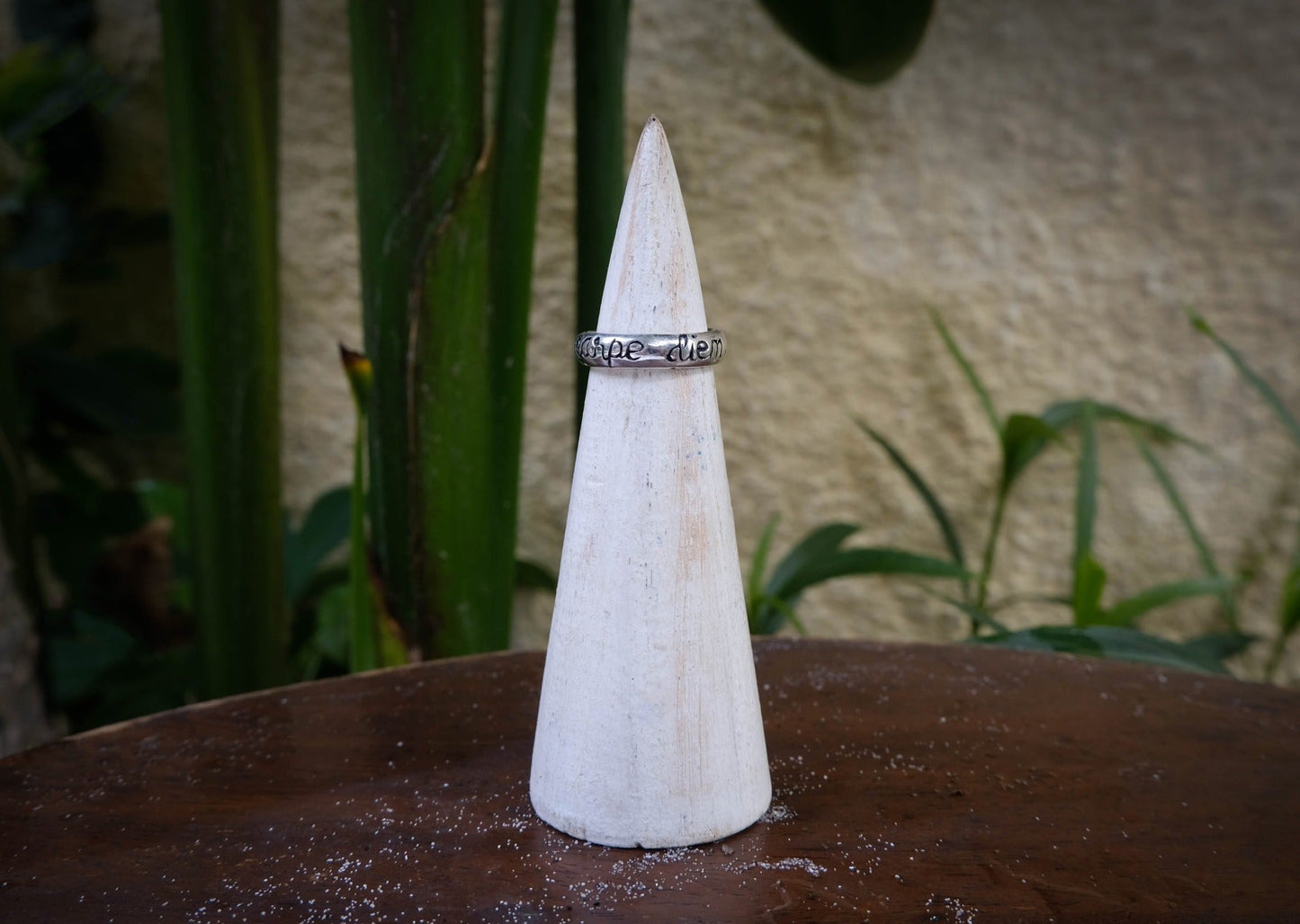 Carpe Diem Small Silver Ring Mule Jewels