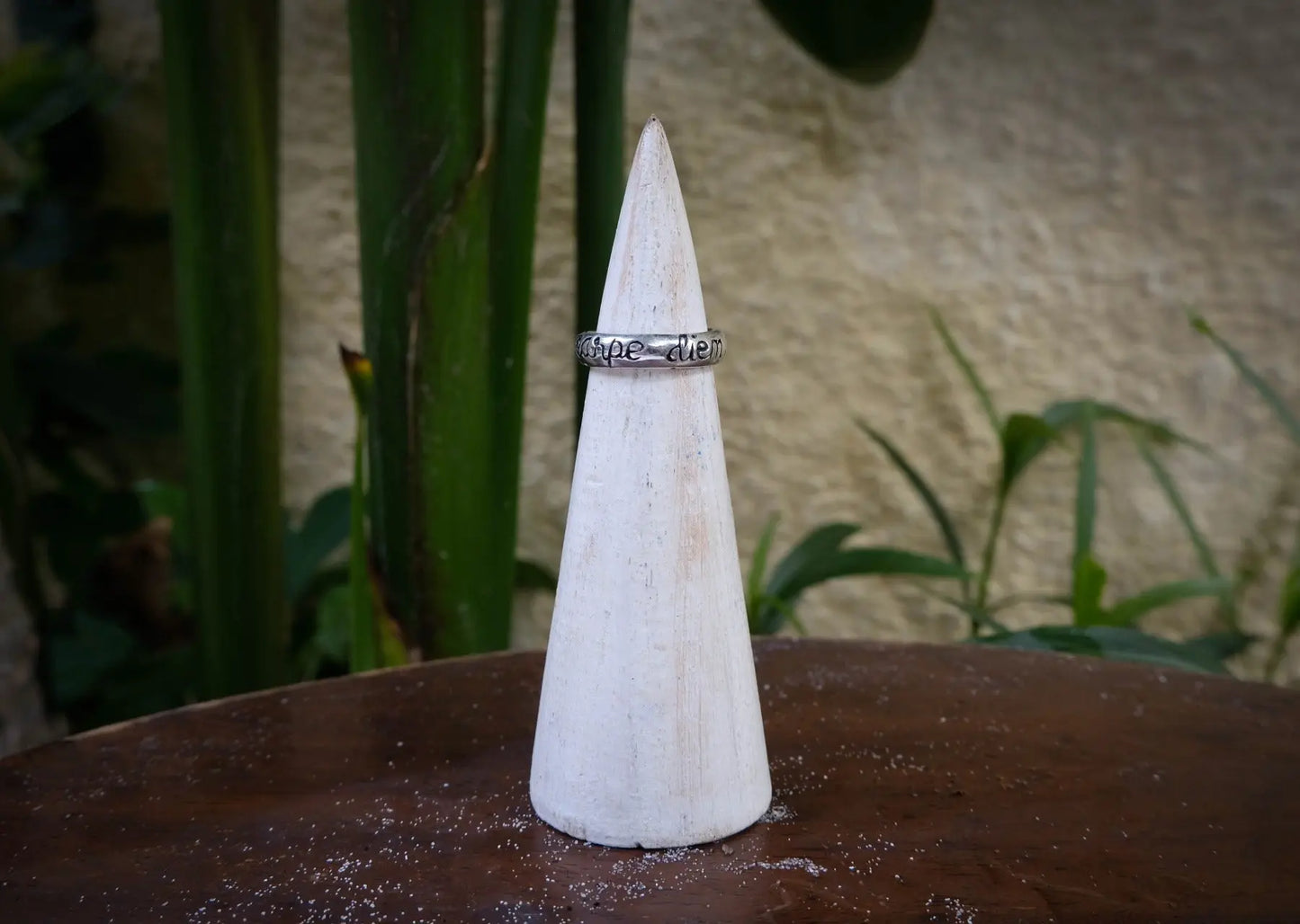Carpe Diem Small Silver Ring Mule Jewels