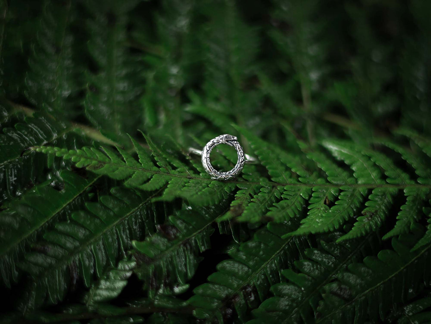 Ouroboros Ring in Silver