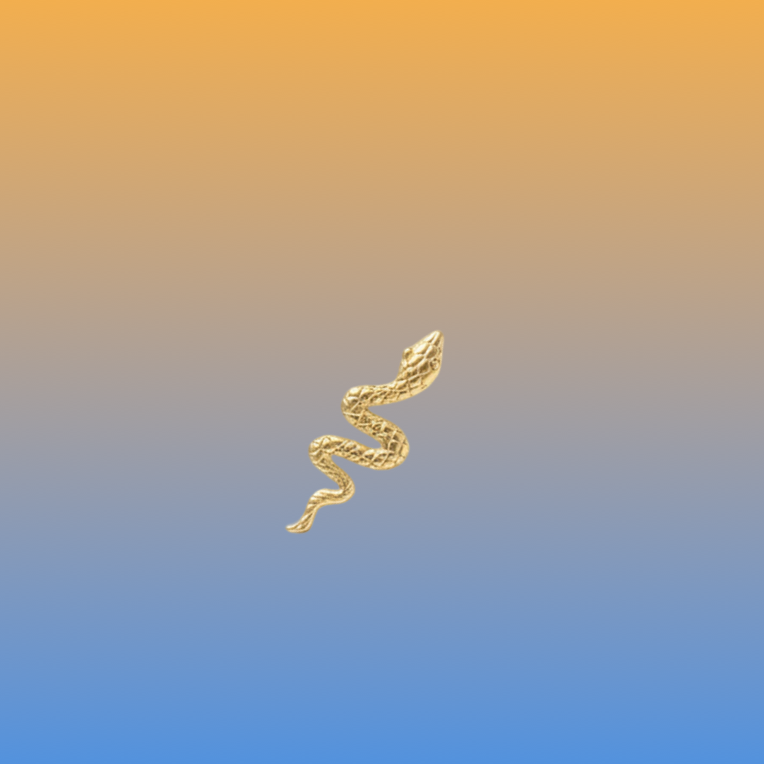 Snake Pattern Yin Jewelry for the Soul