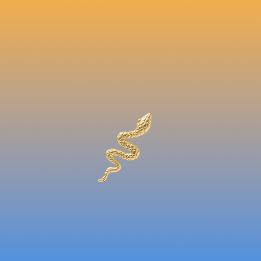 Snake Pattern Yin Jewelry for the Soul
