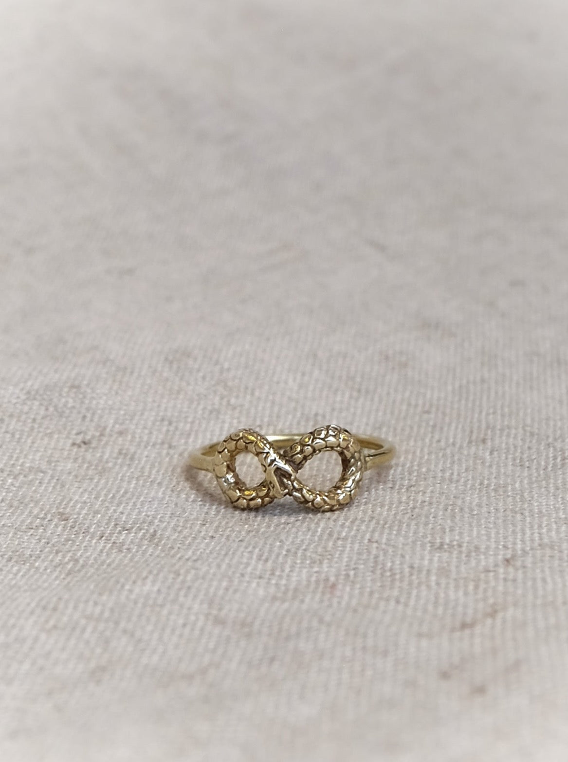 Ouroboros Snake Infinity Ring in Brass