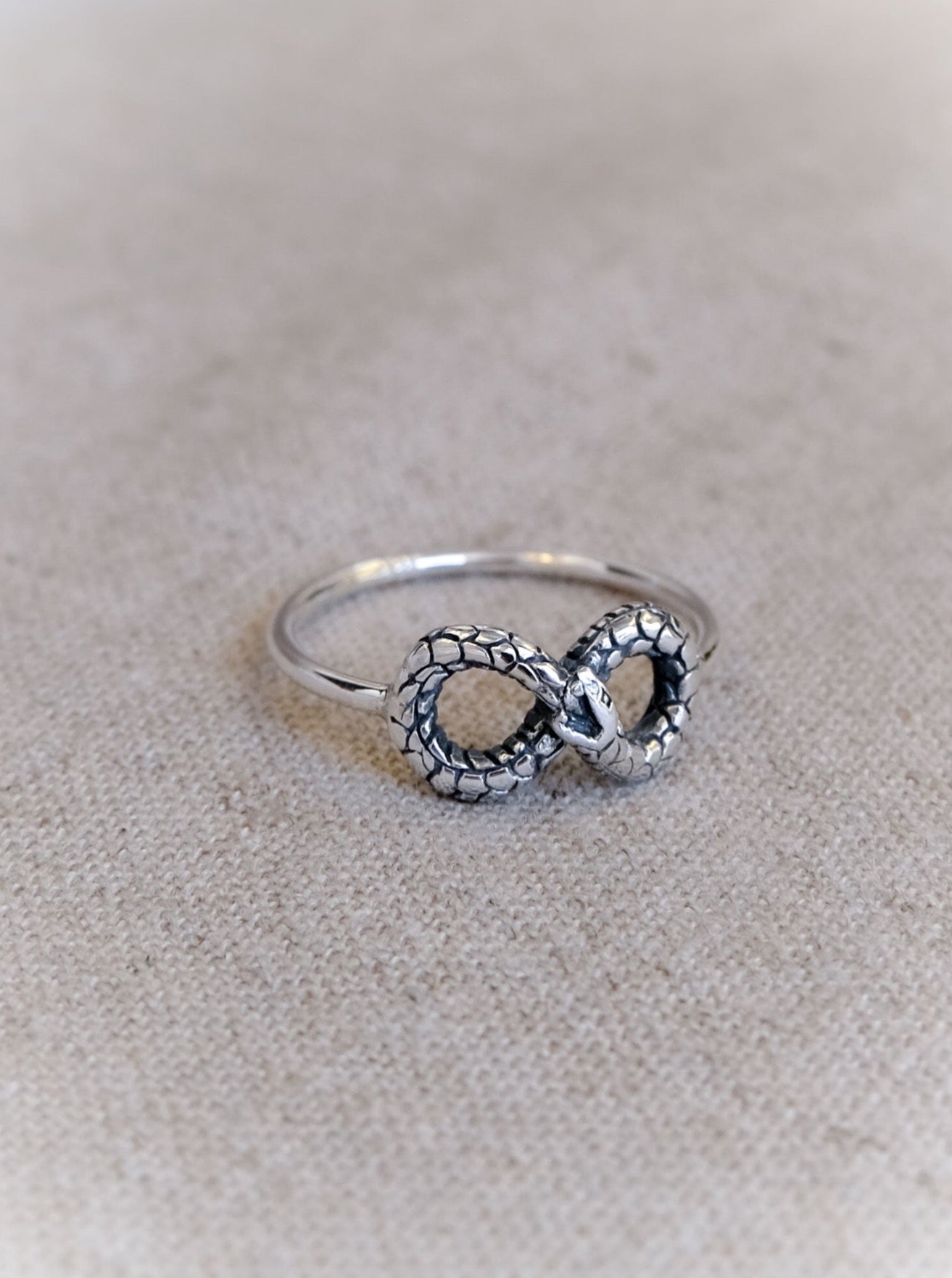 Ouroboros Infinity Ring in Silver