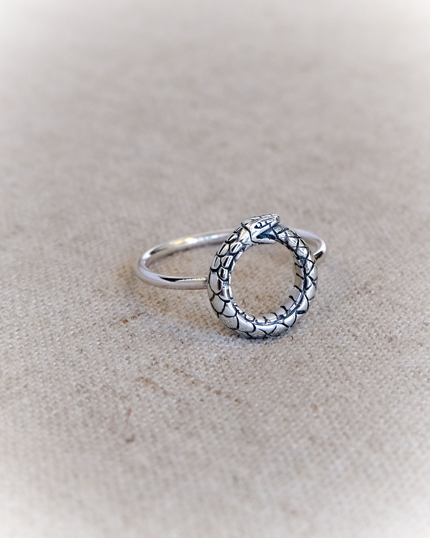 Ouroboros Snake Ring in Silver