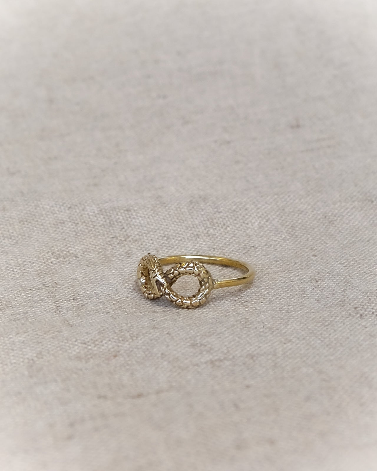 Ouroboros Snake Infinity Ring in Brass