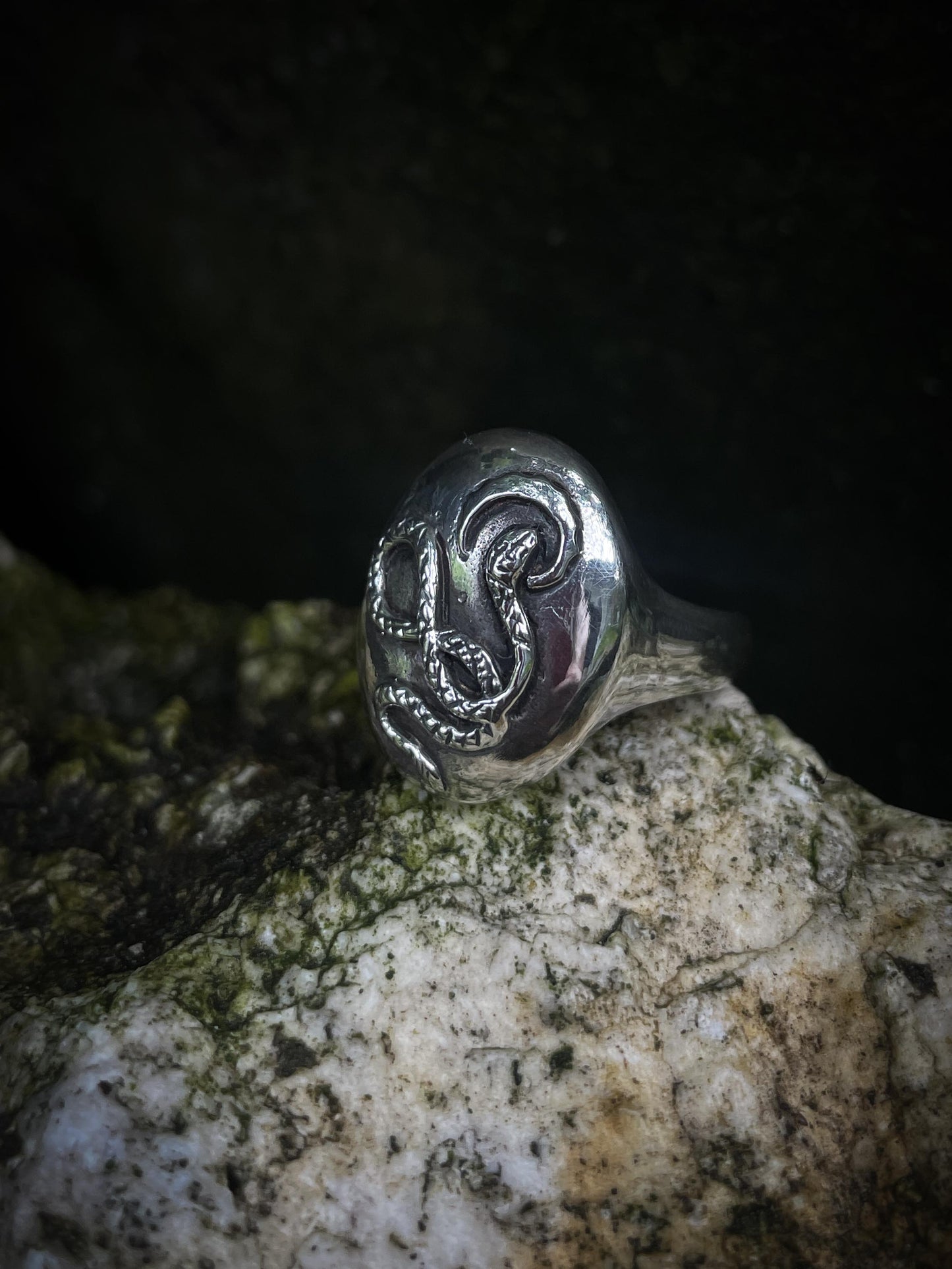 Snake Medallion Ring in Silver