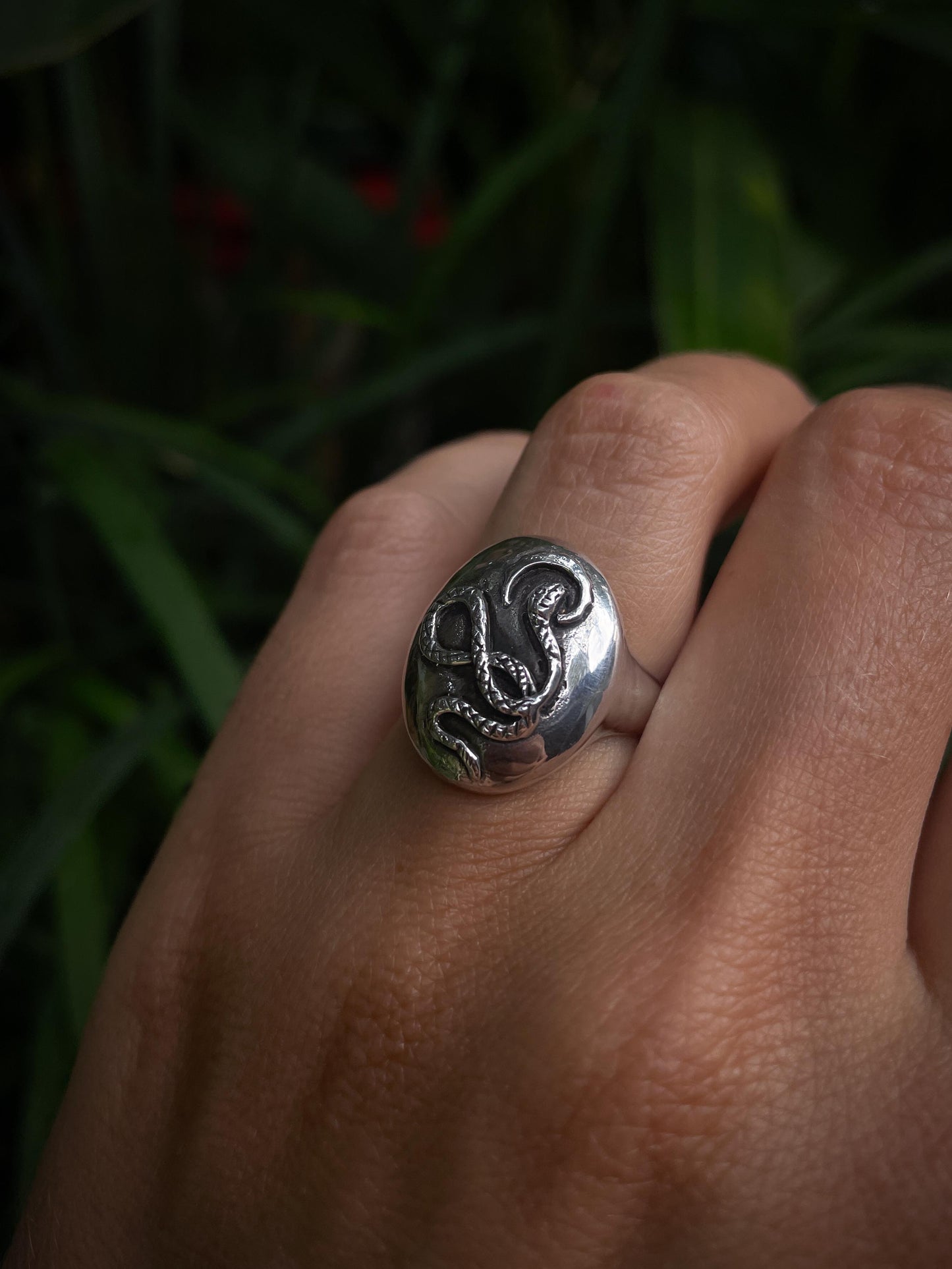 Snake Medallion Ring in Silver