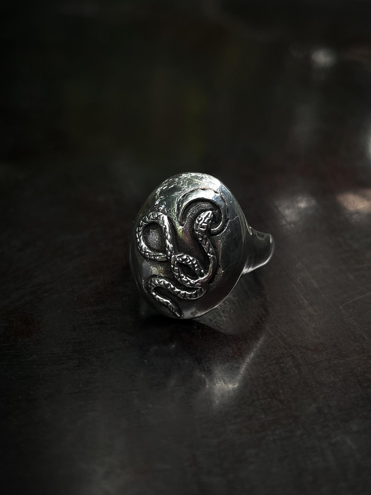 Snake Medallion Ring in Silver