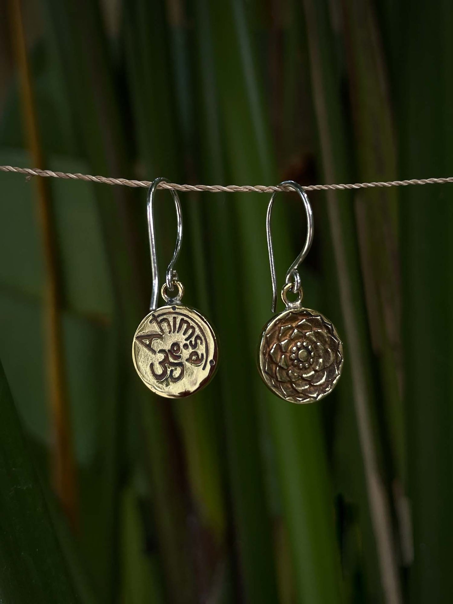 Ahimsa Earrings in Brass